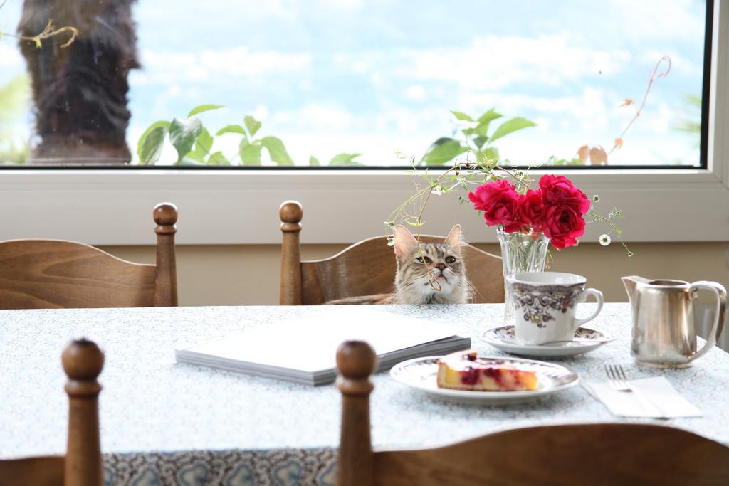 Garni Dolcevita Hotel Locarno Luaran gambar